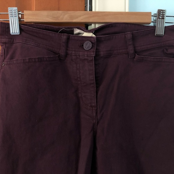 Aritzia Wilfred Free Coloured Skinny - Picture 3 of 4